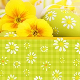 Ubrousek 33x33 3Vr Yellow Daisies 20ks | Duni - Ubrousky, kapsy na příbory - 3 vrstvé ubrousky Ubrousek 33x33 3Vr Yellow Daisies 20ks | Duni - Ubrousky, kapsy na příbory - 3 vrstvé ubrousky