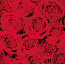 Ubrousek 40x40 Dsoft Red Roses 12ks | Duni - Ubrousky, kapsy na příbory - Airlaid 40x40