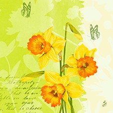 Ubrousek 40x40 3V Spring Flowers 250ks | Duni - Ubrousky, kapsy na příbory - 3 vrstvé ubrousky Ubrousek 40x40 3V Spring Flowers 250ks | Duni - Ubrousky, kapsy na příbory - 3 vrstvé ubrousky