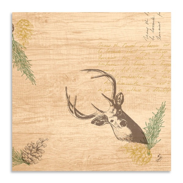 Ubrousek 40x40 Dsoft My Deer 60ks | Duni - Ubrousky, kapsy na příbory - Airlaid 40x40 Ubrousek 40x40 Dsoft My Deer 60ks | Duni - Ubrousky, kapsy na příbory - Airlaid 40x40