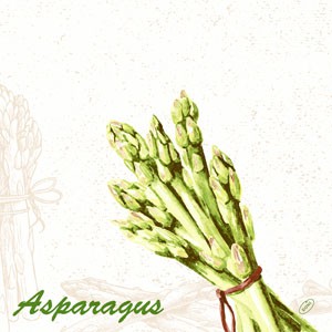 Ubrousek 40x40 Dsoft Green Asparagus 60k | Duni - Ubrousky, kapsy na příbory - Airlaid 40x40